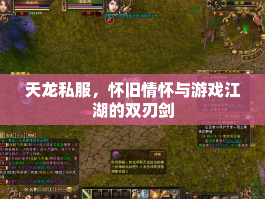 天龙私服，怀旧情怀与游戏江湖的双刃剑
