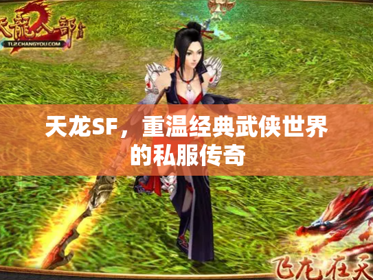 天龙SF，重温经典武侠世界的私服传奇
