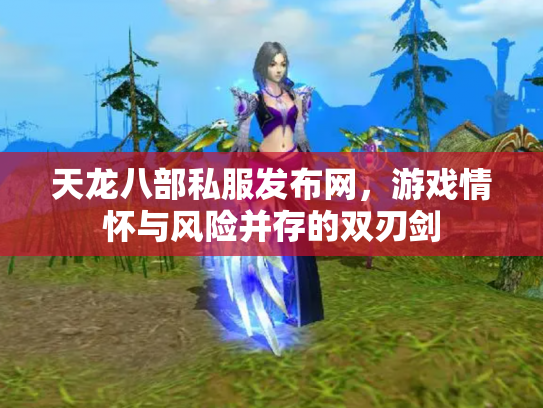 天龙八部私服发布网，游戏情怀与风险并存的双刃剑