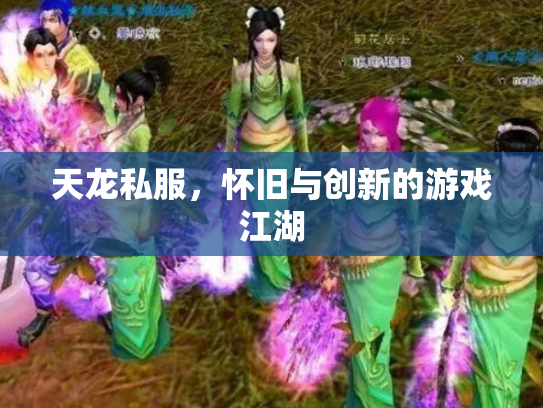 天龙私服，怀旧与创新的游戏江湖