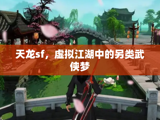 天龙sf，虚拟江湖中的另类武侠梦