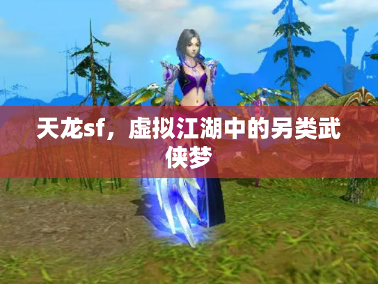 天龙sf，虚拟江湖中的另类武侠梦