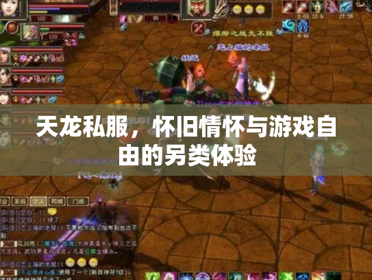 天龙私服，怀旧情怀与游戏自由的另类体验