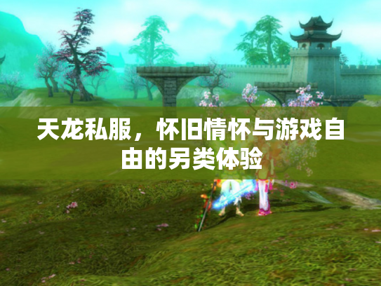 天龙私服，怀旧情怀与游戏自由的另类体验