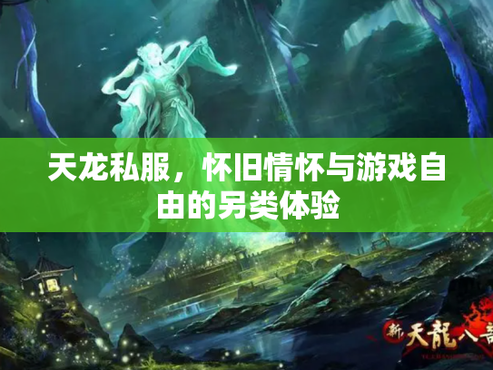 天龙私服，怀旧情怀与游戏自由的另类体验