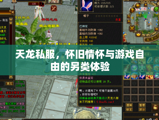 天龙私服，怀旧情怀与游戏自由的另类体验