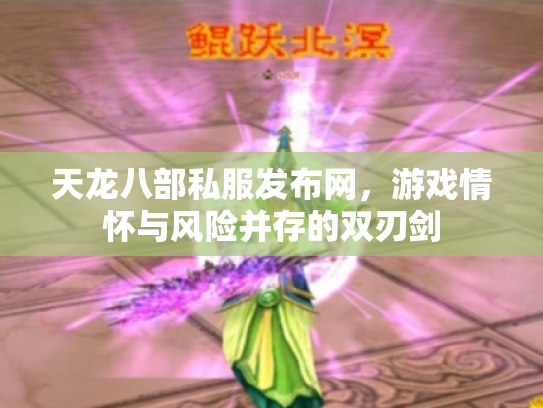 天龙八部私服发布网，游戏情怀与风险并存的双刃剑