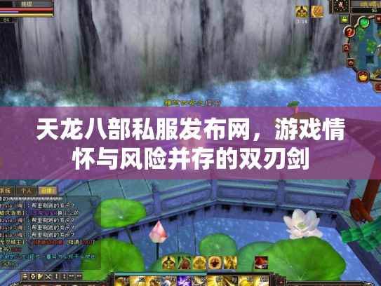 天龙八部私服发布网，游戏情怀与风险并存的双刃剑