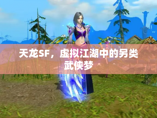 天龙SF，虚拟江湖中的另类武侠梦