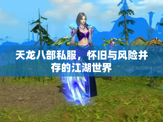 天龙八部私服，怀旧与风险并存的江湖世界