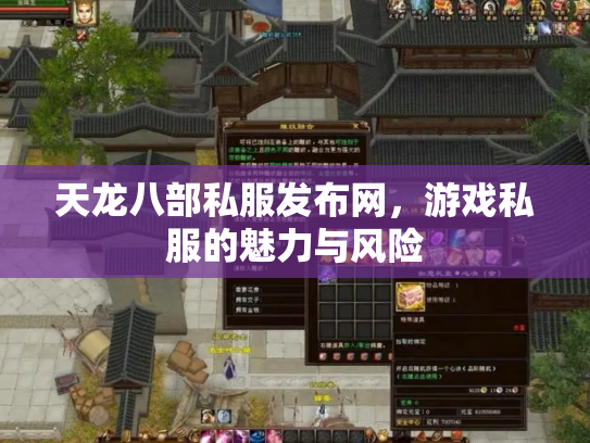 天龙八部私服发布网，游戏私服的魅力与风险