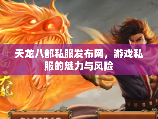 天龙八部私服发布网，游戏私服的魅力与风险