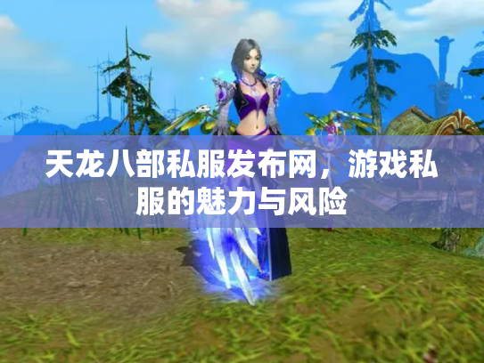 天龙八部私服发布网，游戏私服的魅力与风险