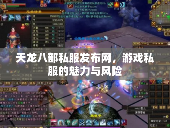 天龙八部私服发布网，游戏私服的魅力与风险