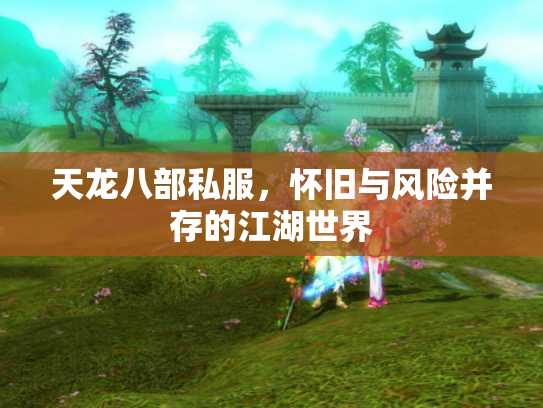 天龙八部私服，怀旧与风险并存的江湖世界