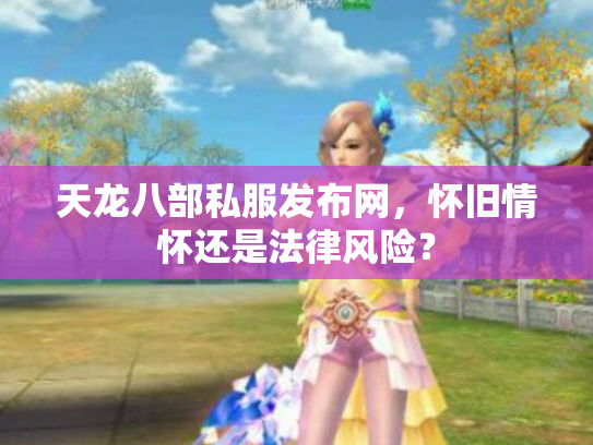 天龙八部私服发布网，怀旧情怀还是法律风险？