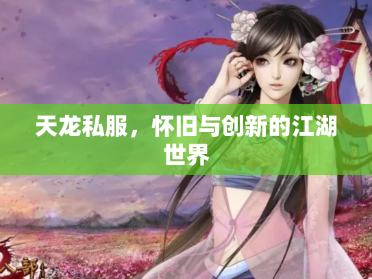 天龙私服，怀旧与创新的江湖世界
