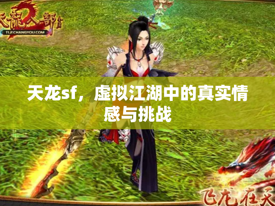 天龙sf，虚拟江湖中的真实情感与挑战