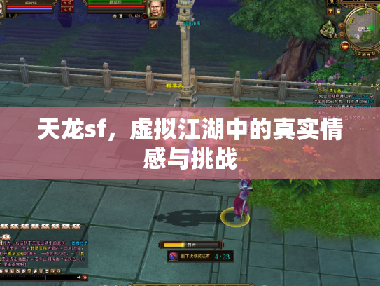 天龙sf，虚拟江湖中的真实情感与挑战