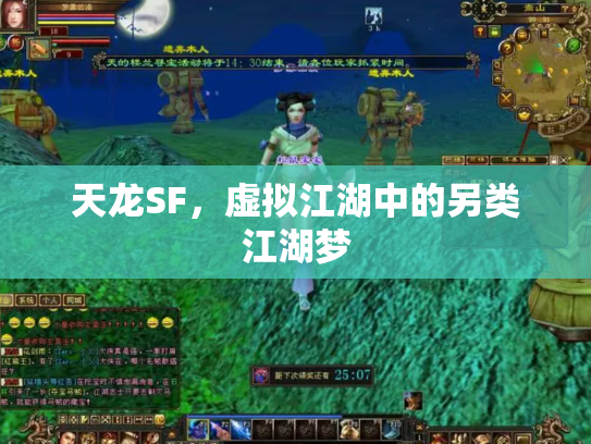 天龙SF，虚拟江湖中的另类江湖梦