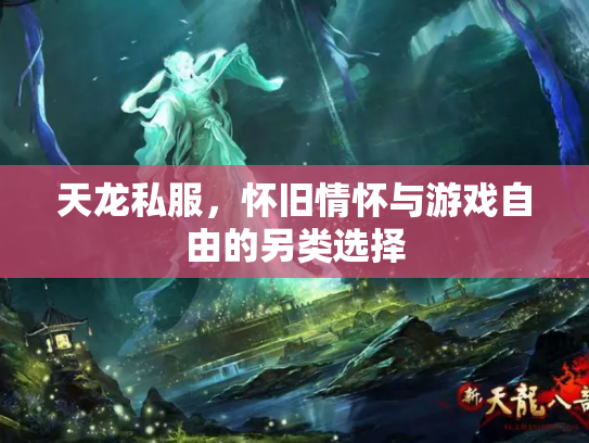 天龙私服，怀旧情怀与游戏自由的另类选择