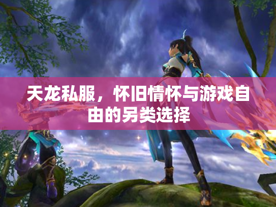 天龙私服，怀旧情怀与游戏自由的另类选择