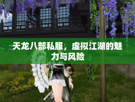 天龙八部私服，虚拟江湖的魅力与风险