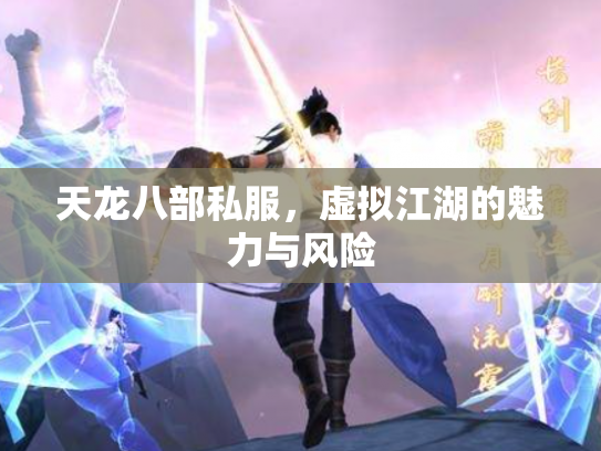 天龙八部私服，虚拟江湖的魅力与风险