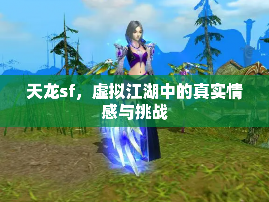 天龙sf，虚拟江湖中的真实情感与挑战