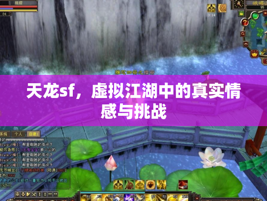 天龙sf，虚拟江湖中的真实情感与挑战
