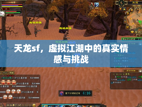 天龙sf，虚拟江湖中的真实情感与挑战