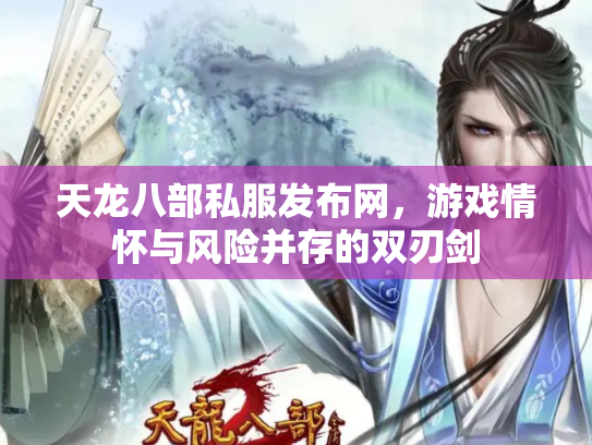 天龙八部私服发布网，游戏情怀与风险并存的双刃剑