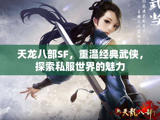 天龙八部SF，重温经典武侠，探索私服世界的魅力