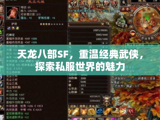 天龙八部SF，重温经典武侠，探索私服世界的魅力
