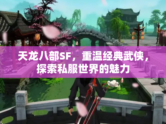 天龙八部SF，重温经典武侠，探索私服世界的魅力