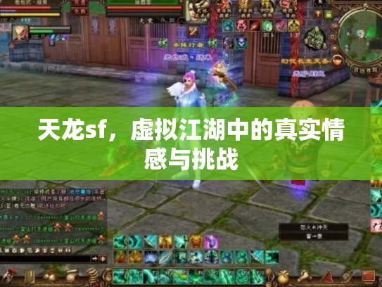 天龙sf，虚拟江湖中的真实情感与挑战