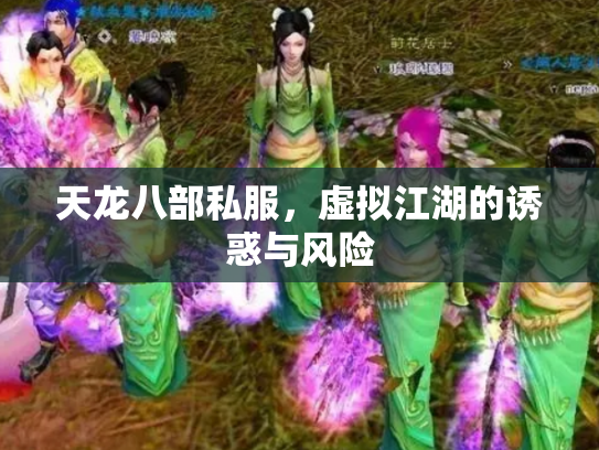天龙八部私服，虚拟江湖的诱惑与风险