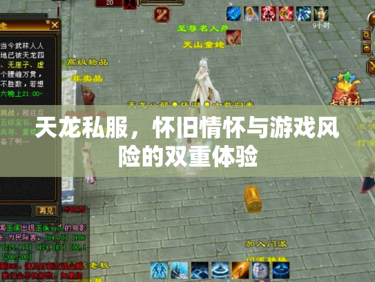 天龙私服，怀旧情怀与游戏风险的双重体验