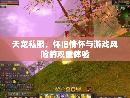 天龙私服，怀旧情怀与游戏风险的双重体验