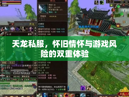 天龙私服，怀旧情怀与游戏风险的双重体验