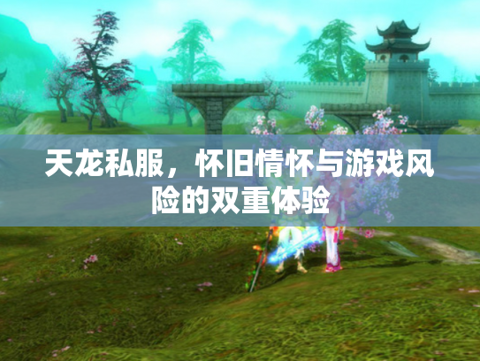 天龙私服，怀旧情怀与游戏风险的双重体验