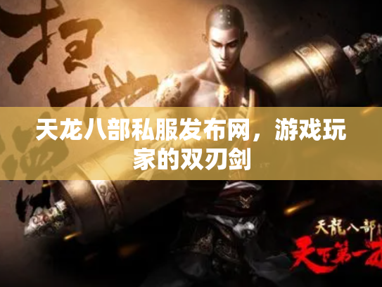 天龙八部私服发布网，游戏玩家的双刃剑