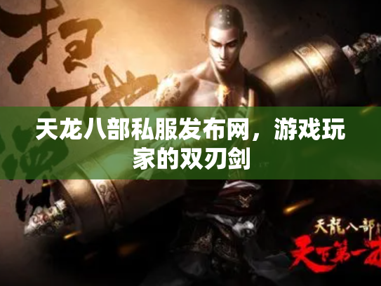 天龙八部私服发布网，游戏玩家的双刃剑