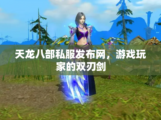 天龙八部私服发布网，游戏玩家的双刃剑