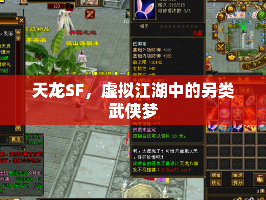 天龙SF，虚拟江湖中的另类武侠梦