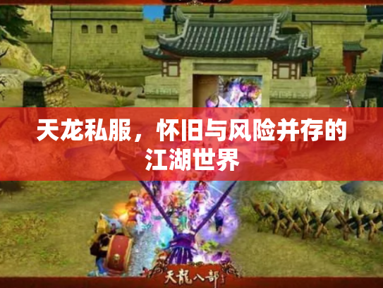 天龙私服，怀旧与风险并存的江湖世界