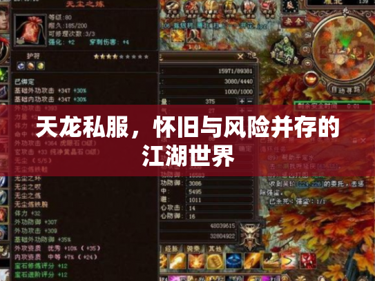 天龙私服，怀旧与风险并存的江湖世界