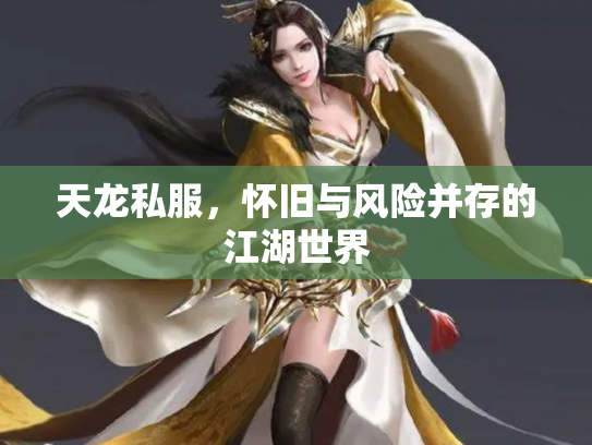 天龙私服，怀旧与风险并存的江湖世界