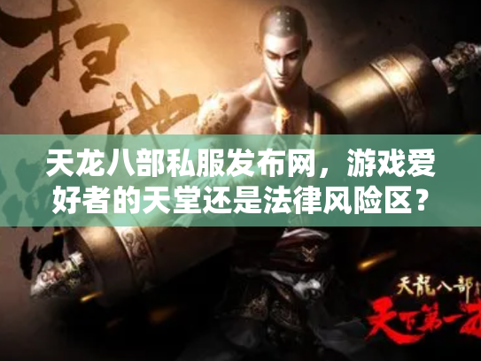 天龙八部私服发布网，游戏爱好者的天堂还是法律风险区？