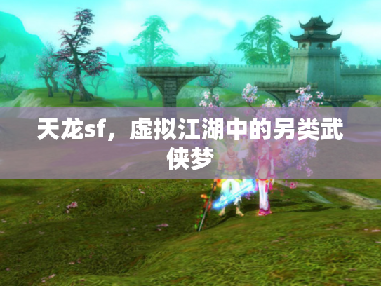 天龙sf，虚拟江湖中的另类武侠梦